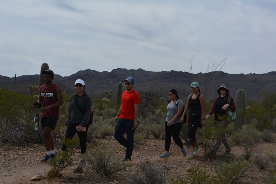 six young individuals walking in the desert under a sunny sky