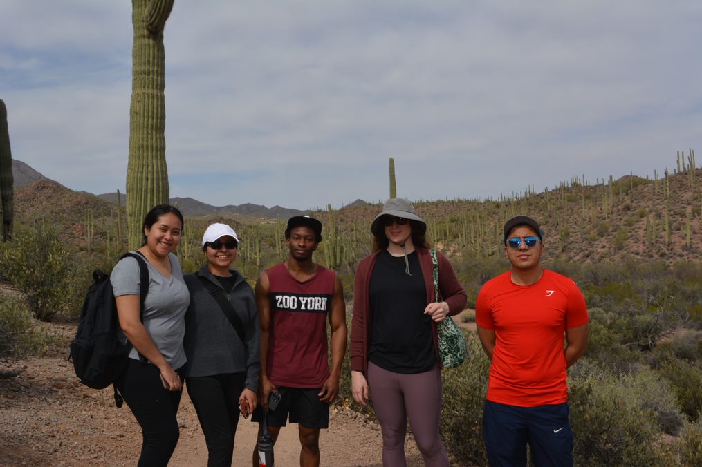 four young adults standing in the desert under a sunny sky